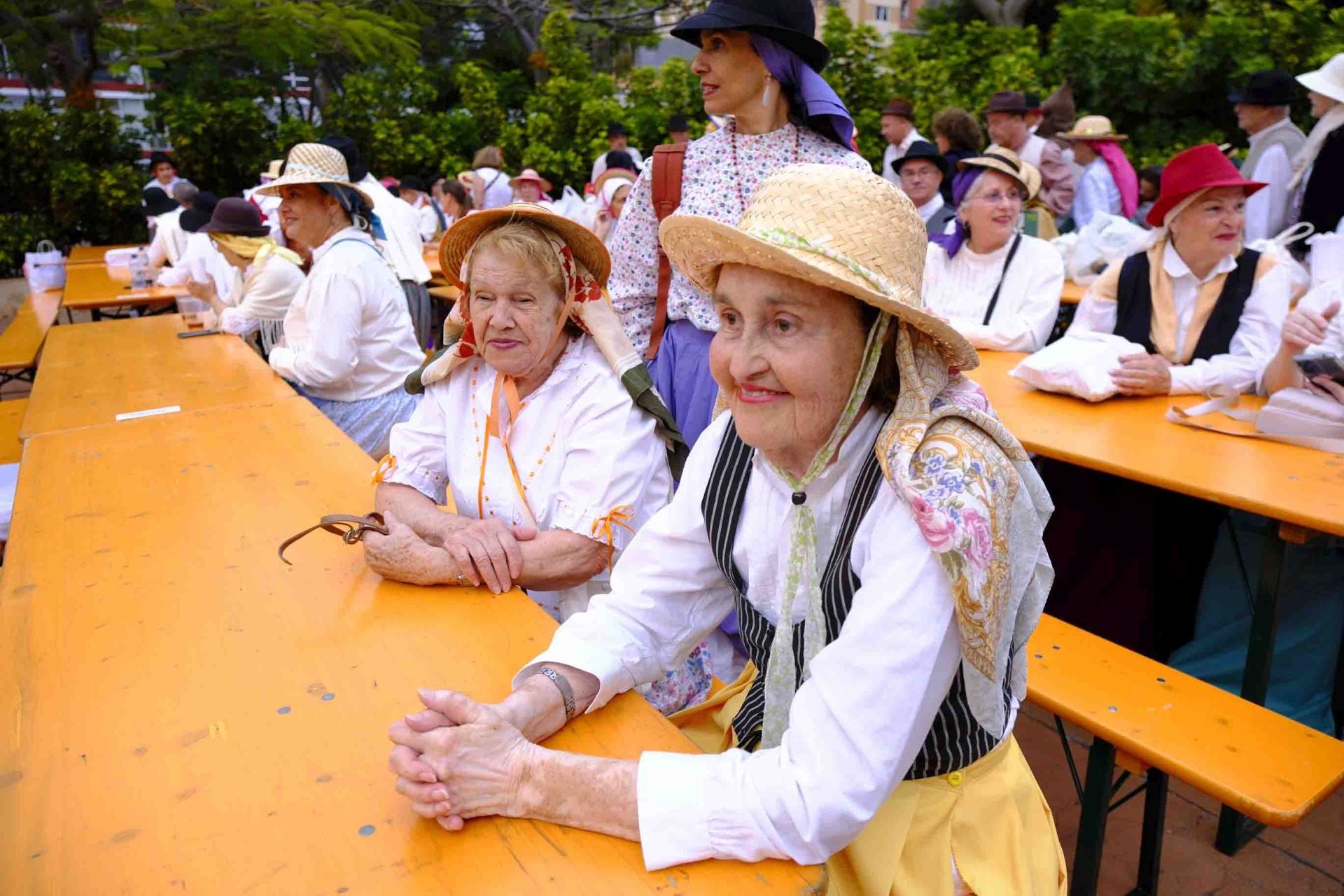 El segundo Baile de Taifas de Schamann, en imágenes