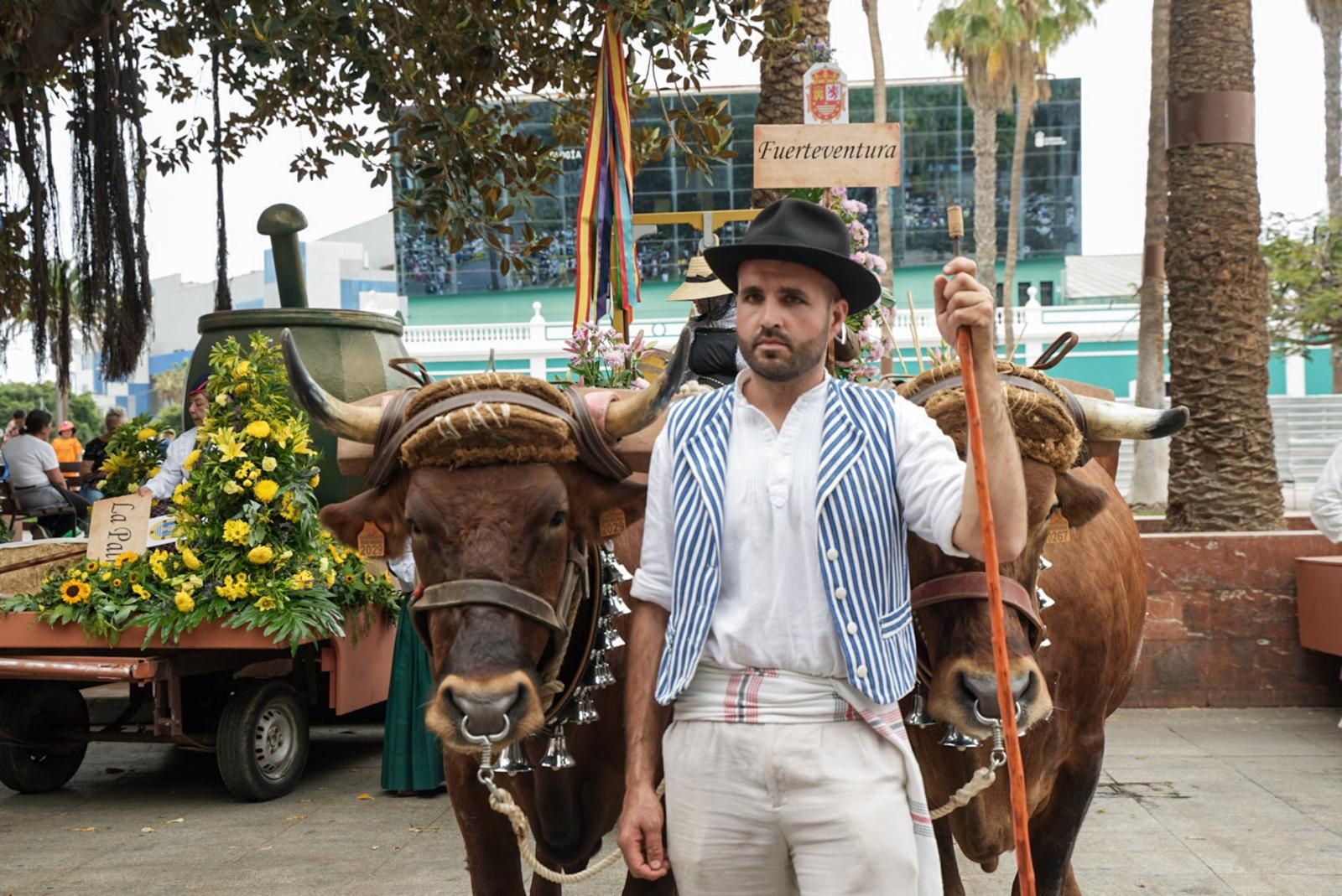El Paseo Romero llena de tradición el itsmo