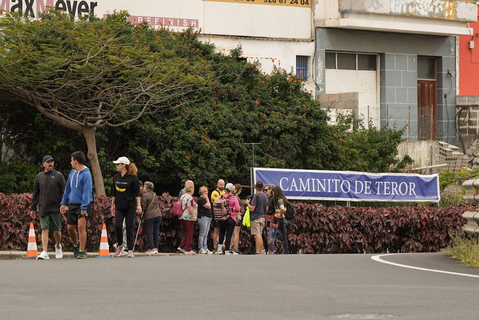 Las imágenes de la Bajada de la Virgen del Pino