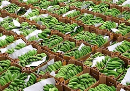 ¿Cómo hacerlo peor?