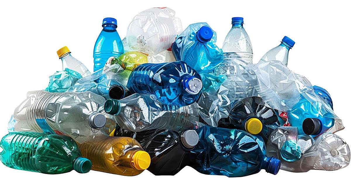 La plastisfera: una amenaza emergente para el medioambiente y la salud pública