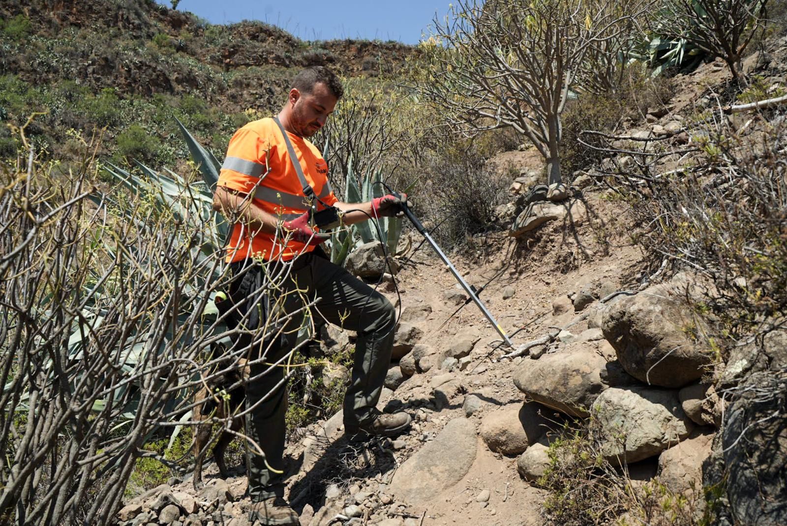 Así entrenan a los perros de Gesplan para encontrar serpientes invasoras en Gran Canaria