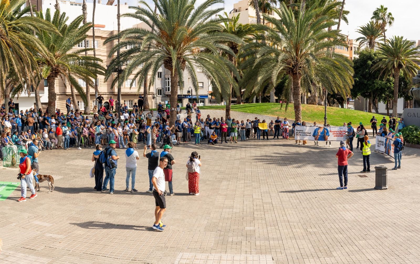 La protesta de los veterinarios en Las Palmas de Gran Canaria, en imágenes