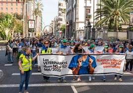 Los veterinarios, de nuevo en la calle para defender su autoridad clínica
