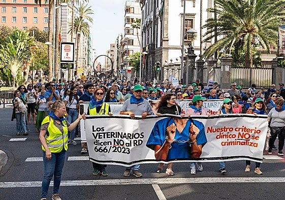 Cabeza de la manifestación celebrada este sábado en la capital grancanaria.