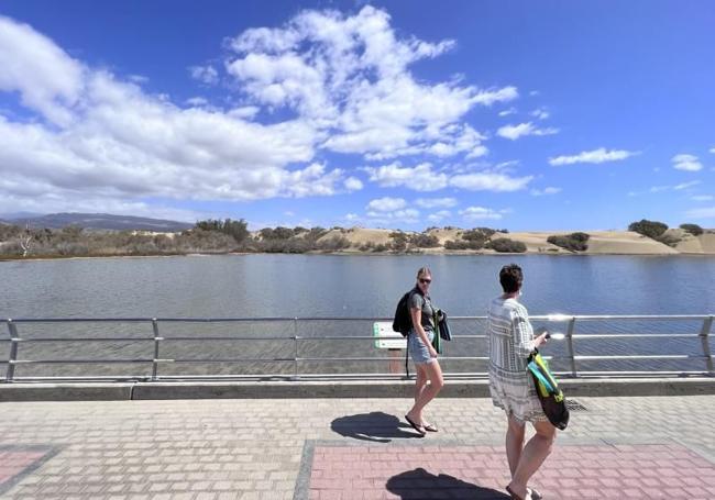Imagen de la charca de Maspalomas desde el paseo peatonal aledaño.