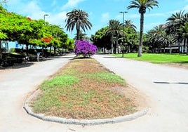 El Ayuntamiento de Las Palmas de Gran Canaria retirará el césped del jardín central del Parque Romano