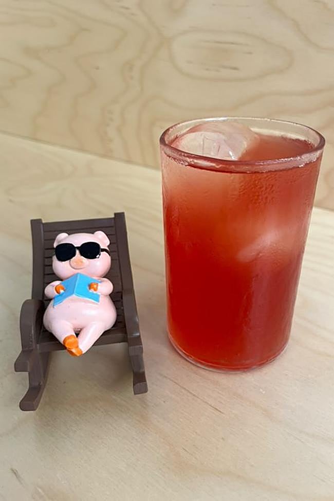 Kombucha de Caracolillo Coffee