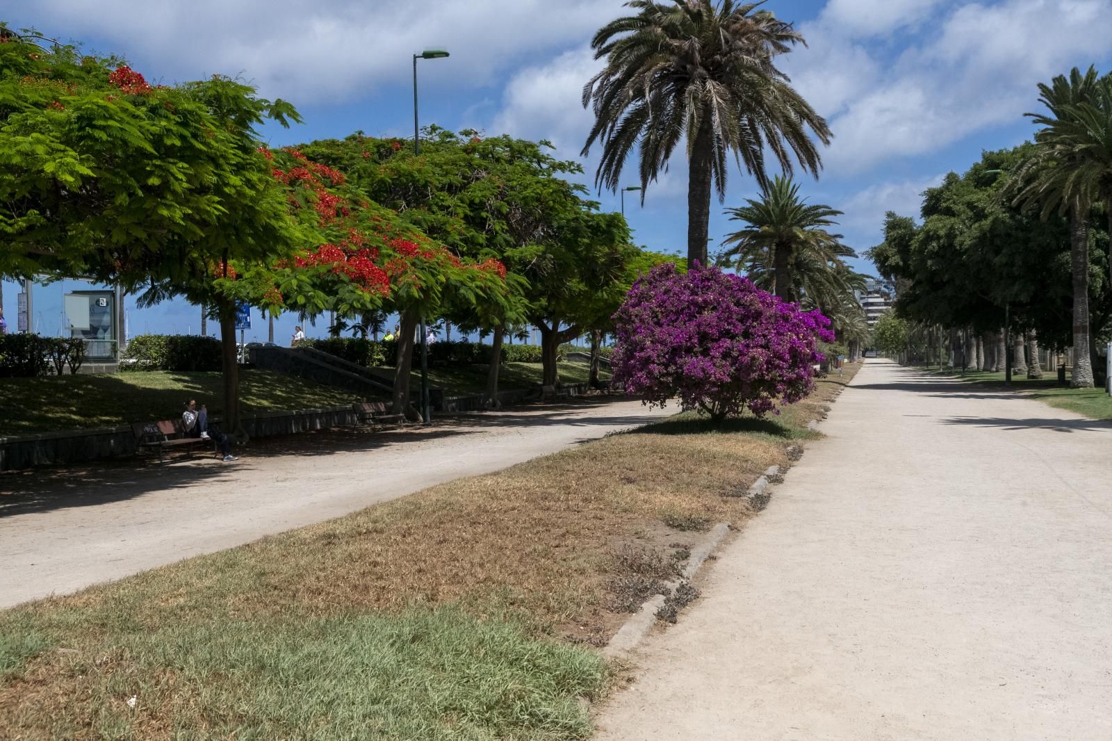 Estado actual del jardín central del Parque Romano.