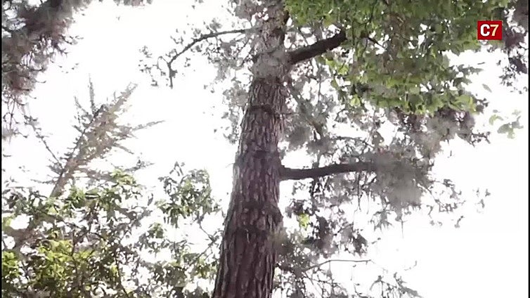 Los cinco colegios que participan en el proyecto Brinzal se reúnen en la finca de Osorio