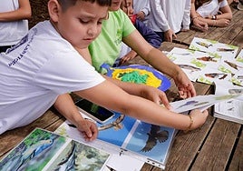 Imágenes del proyecto Brinzal elaborado por el alumnado de Canarias