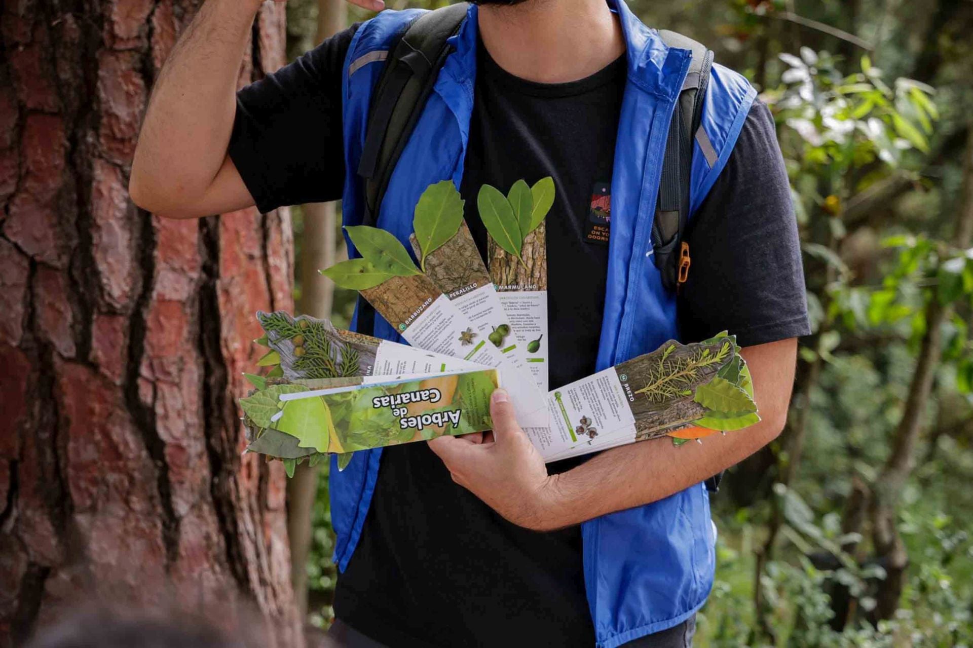 Imágenes del proyecto Brinzal elaborado por el alumnado de Canarias