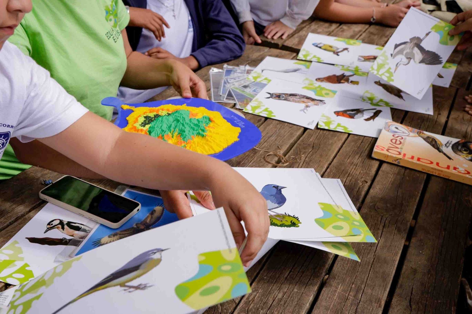 Imágenes del proyecto Brinzal elaborado por el alumnado de Canarias