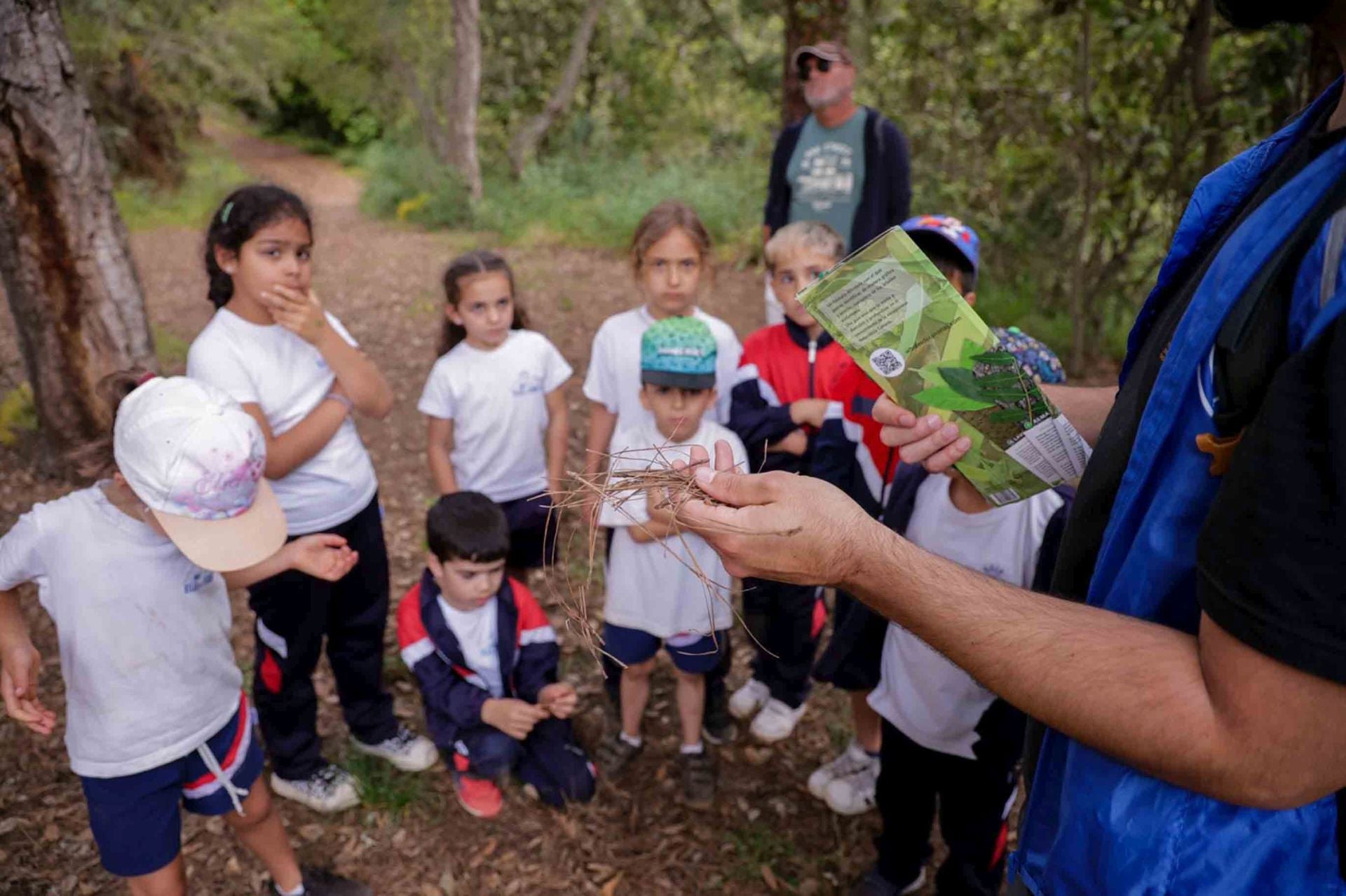 Imágenes del proyecto Brinzal elaborado por el alumnado de Canarias