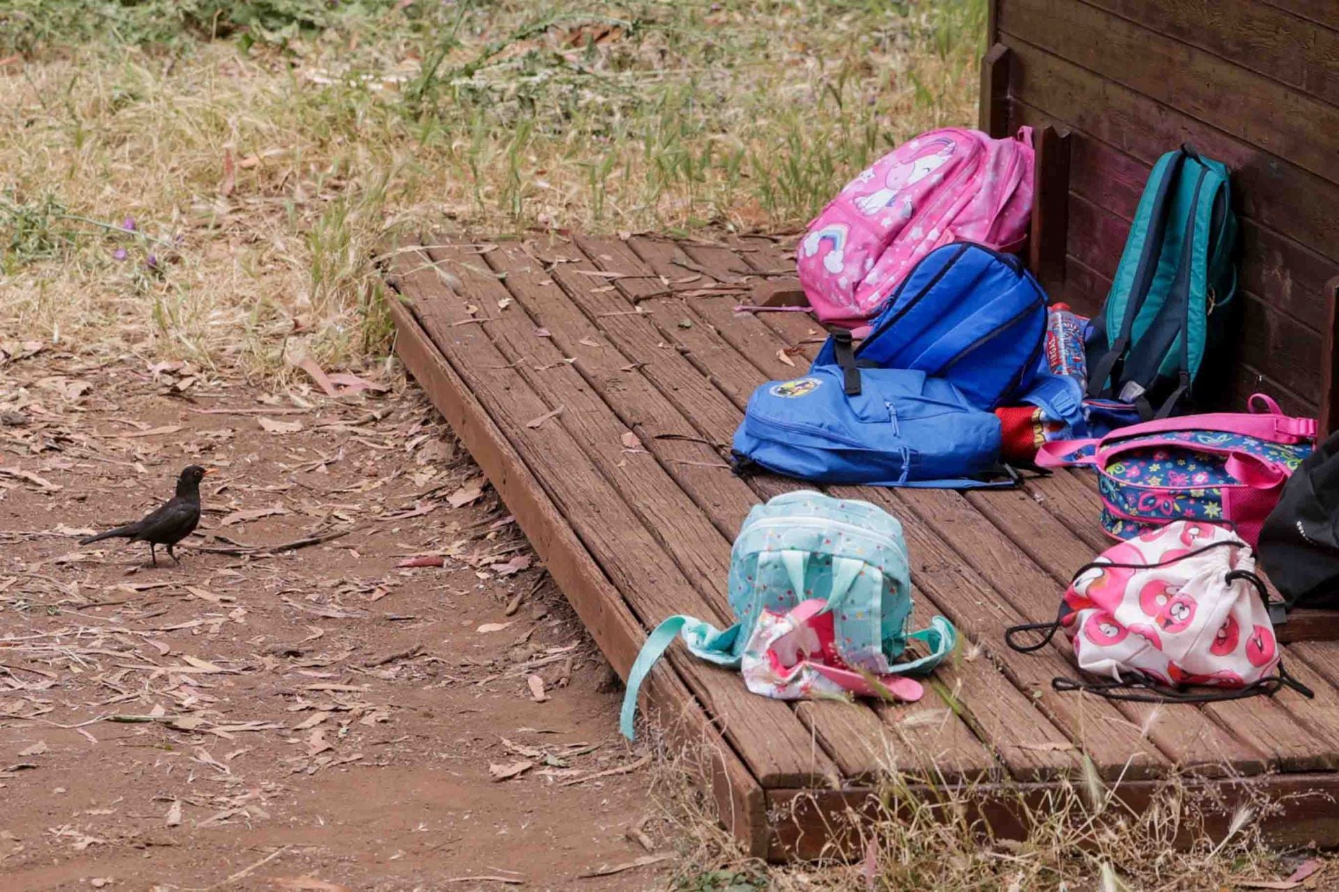 Imágenes del proyecto Brinzal elaborado por el alumnado de Canarias