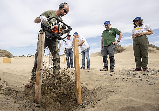 Un trabajador perfora la arena para hacerle hueco a un nuevo balancón.