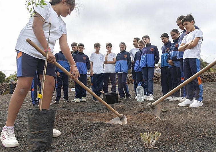 Momento de una de las plantaciones en Los Valles, con estudiantes.