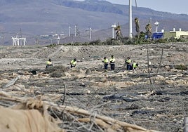 Imagen de archivo de actuaciones de limpieza de invernaderos en el primer plan de empleo, que acabó en febrero de este año.