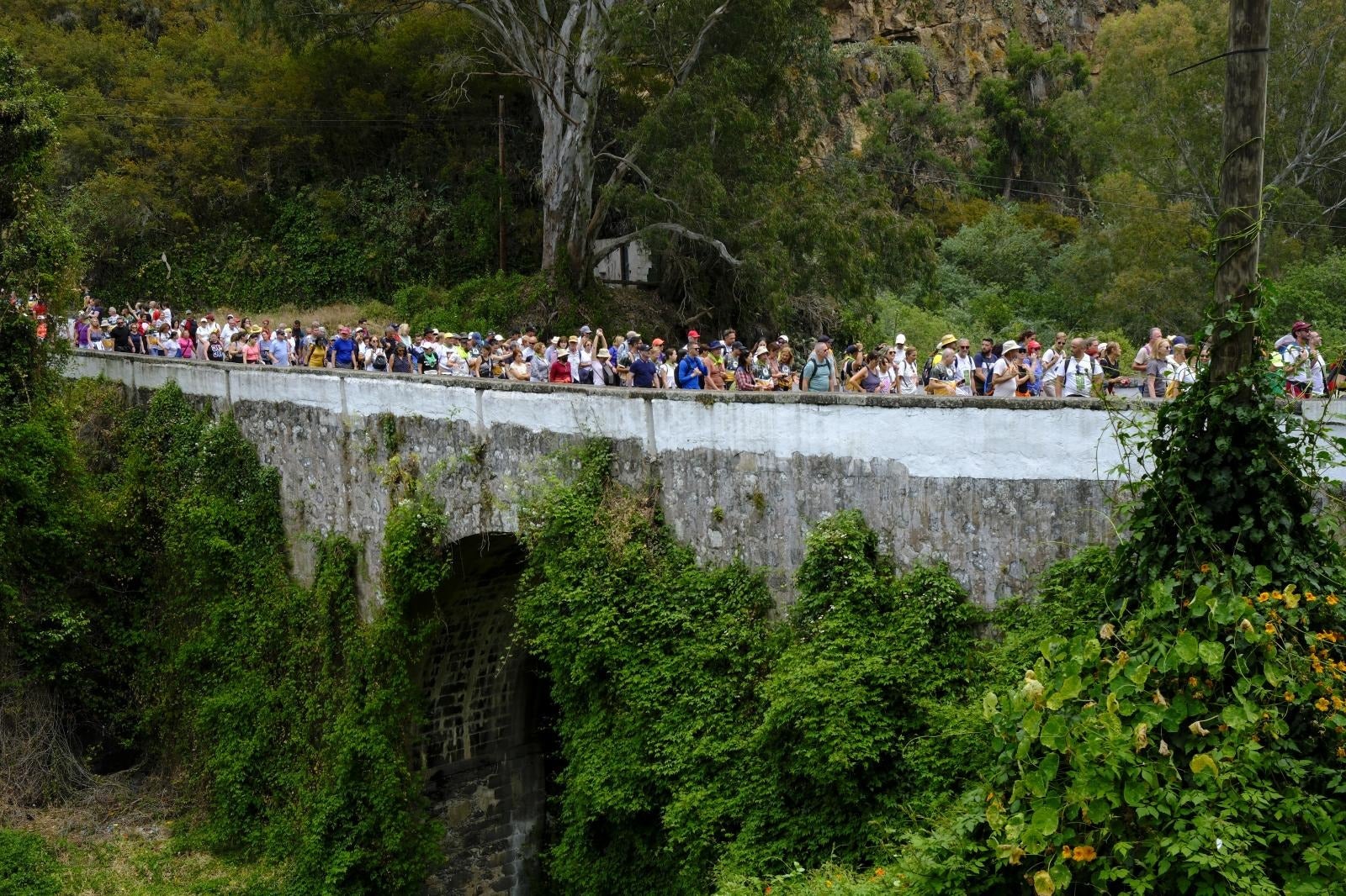 El álbum de la Bajada de la Virgen del Pino 2025