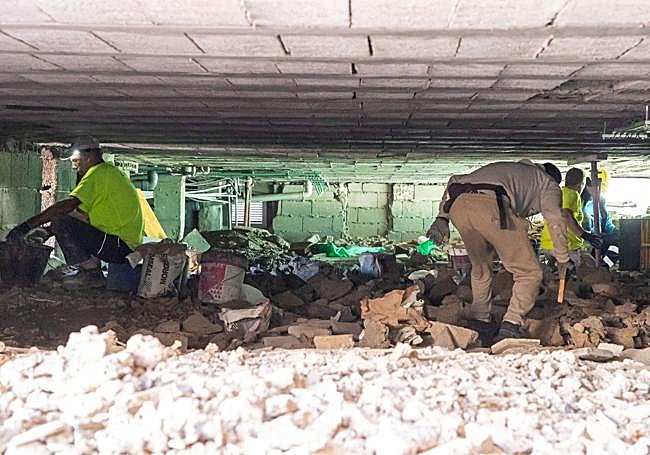 Operarios trabajando en las estructuras de los edificios.