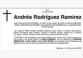 Andrés Rodríguez Ramírez
