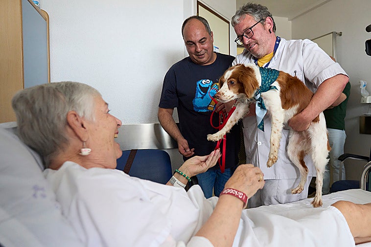 Una paciente recibiendo por parte del médico la visita de un perro durante su ingreso hospitalario en Txagorritxu