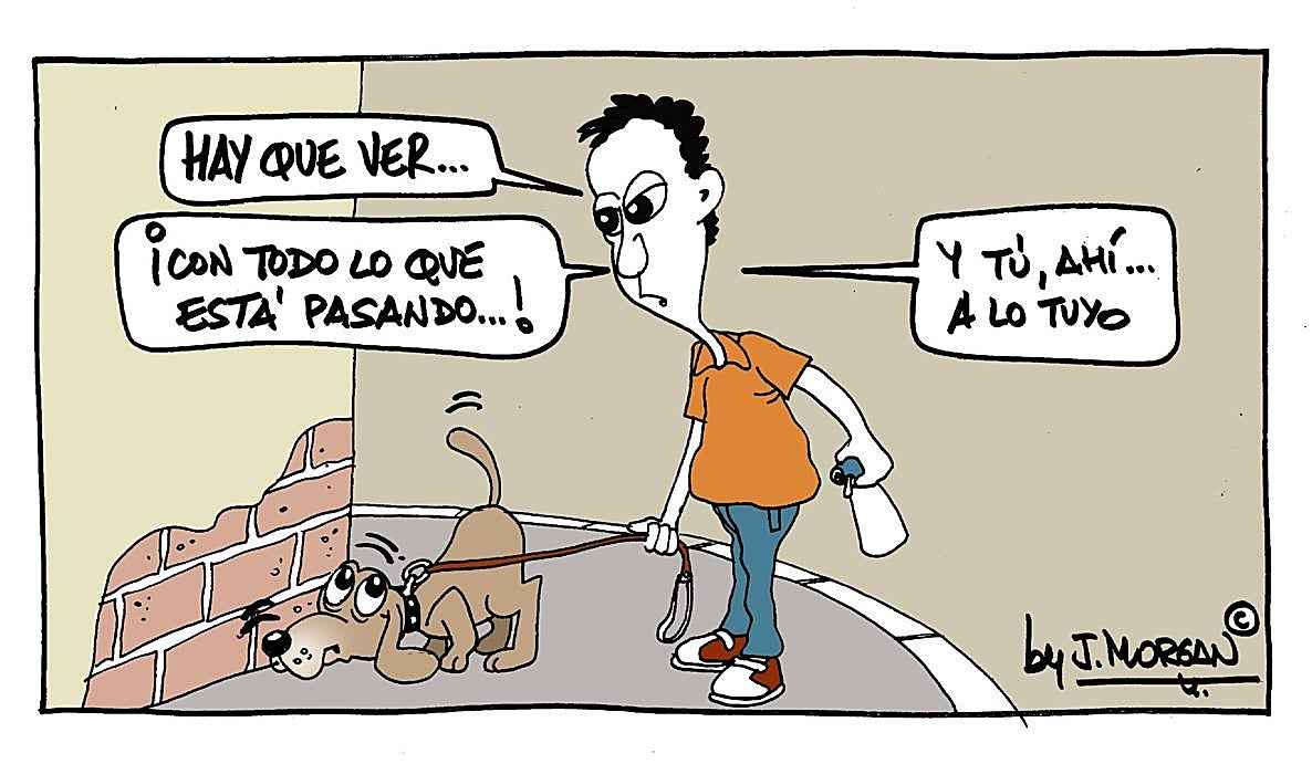 La viñeta de Morgan de este jueves 19 de junio