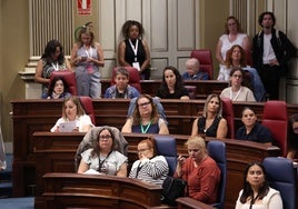 Participantes este miércoles en el Primer Parlamento canario de mujeres con discapacidad.