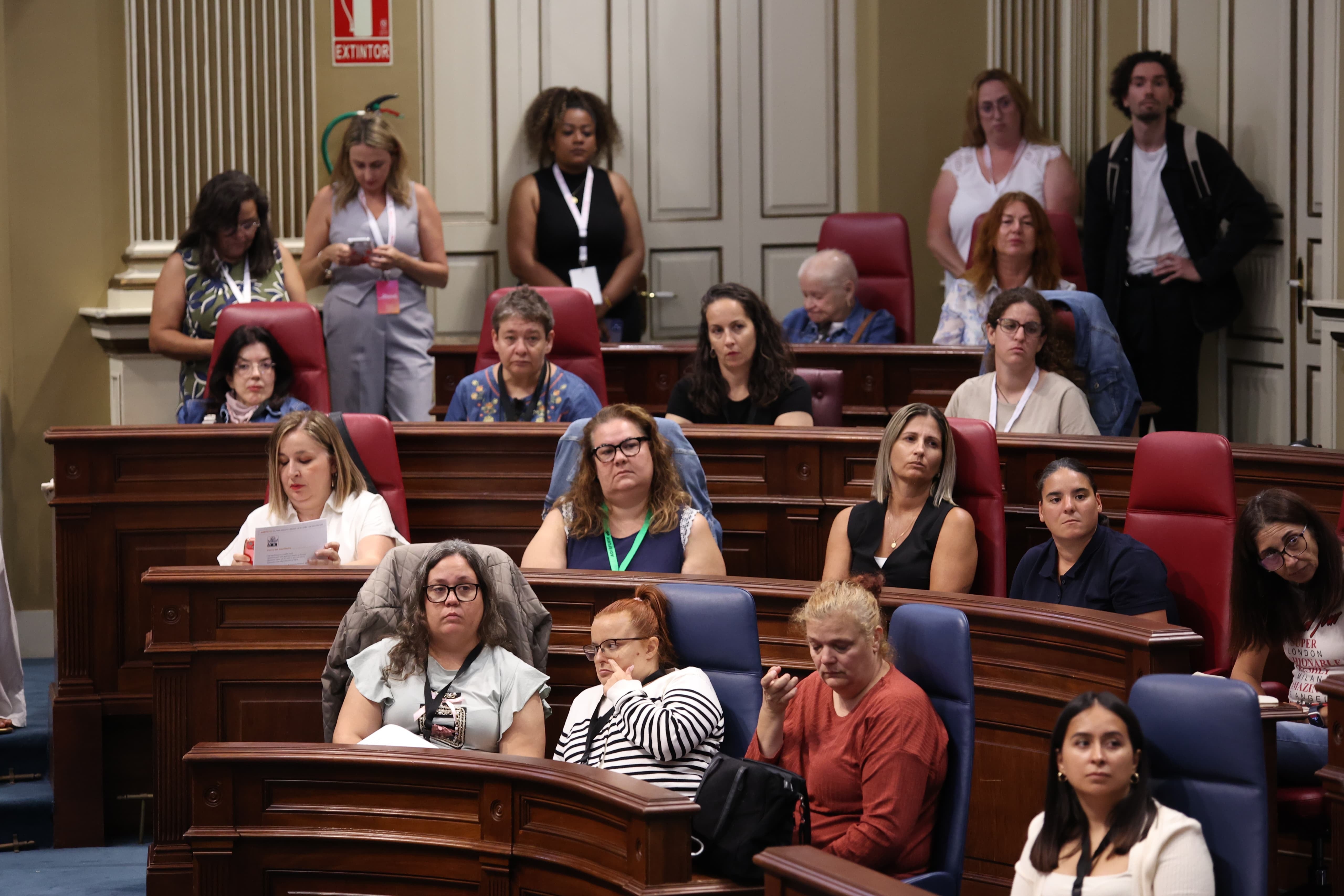 Participantes este miércoles en el Primer Parlamento canario de mujeres con discapacidad.