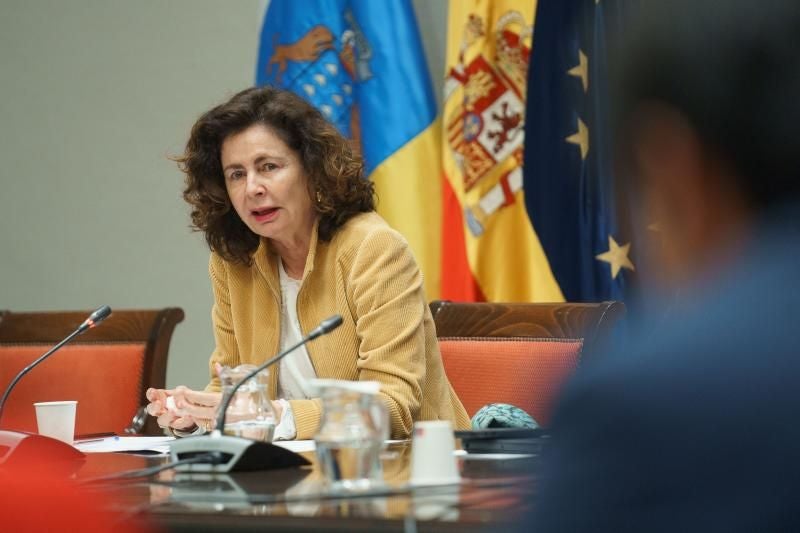 La consejera de Hacienda del Gobierno de Canarias, Matilde Asián, en comisión parlamentaria.
