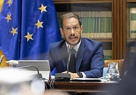 El consejero de Transición Ecológica, Mariano Hernández Zapata, en una comisión parlamentaria.