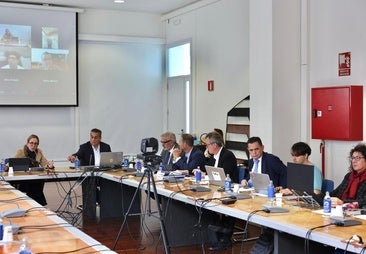 La ley canaria de consejos sociales avanza: «No invade la autonomía de las universidades»