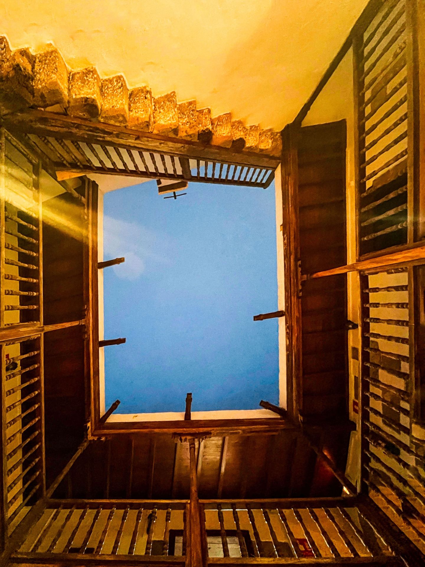 Imagen ganadora, de Marta Mena.