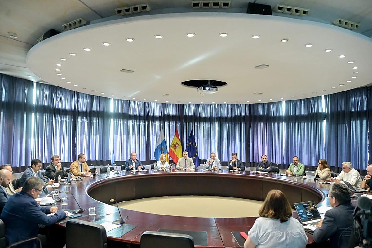 Un momento de la segunda reunión del Observatorio Industrial de Canarias.