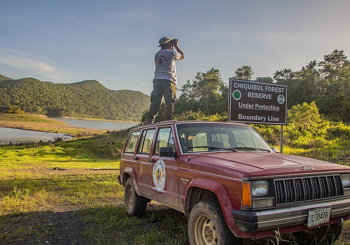 Imagen de la labor de de la Fundación Loro Parque en espacios naturales.