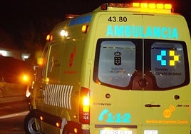 Un niño de 3 años, en estado grave tras un brutal accidente en Tegueste