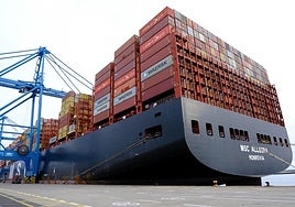 EL 'MSC Allegra', en el puerto de Las Palmas.