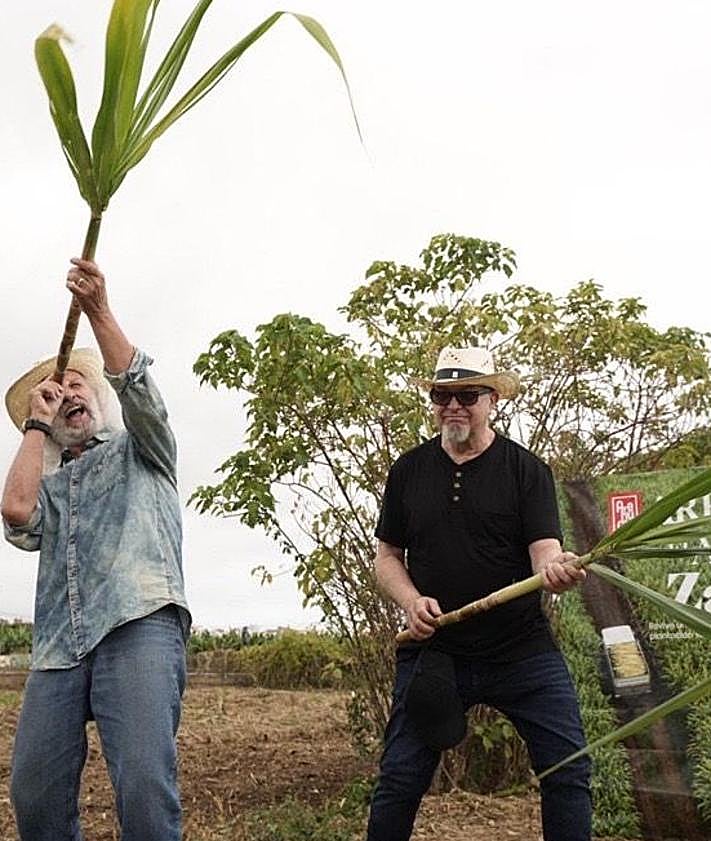 Imagen secundaria 2 - Barón Rojo celebra su 45º aniversario en el FiestoRon 2025 más cañero
