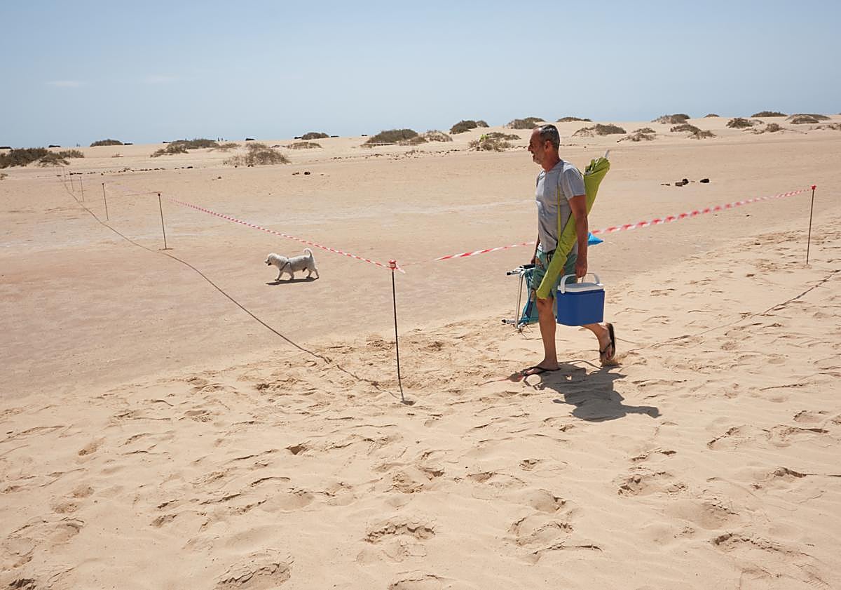 Imagen principal - El consejero regional Mariano Hernández Zapata y la primera mandataria majorera, Lola García, en el inicio de las obras de regeneración por Tragsa en la playa del Pozo, en el Parque Natural de las Dunas de Corralejo.