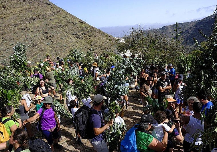 Los peregrinos cargados con sus ramas.