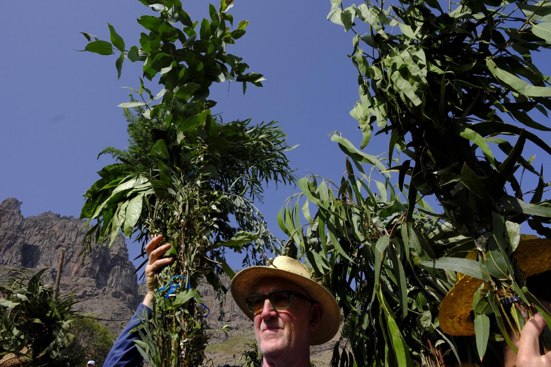 Agaete vibra con la Rama de San Pedro