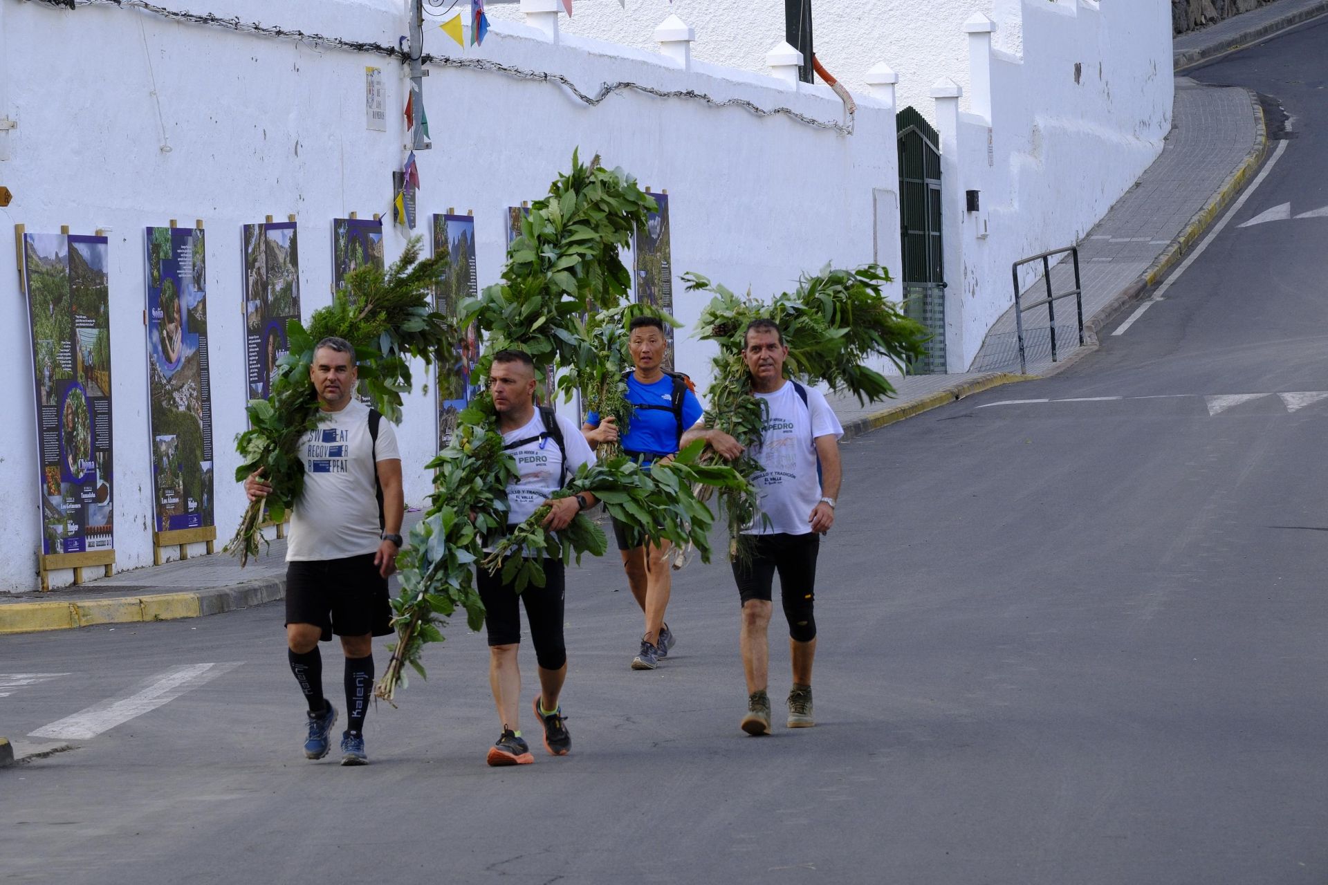 Agaete vibra con la Rama de San Pedro