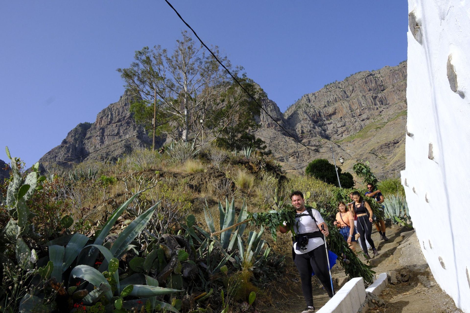 Agaete vibra con la Rama de San Pedro
