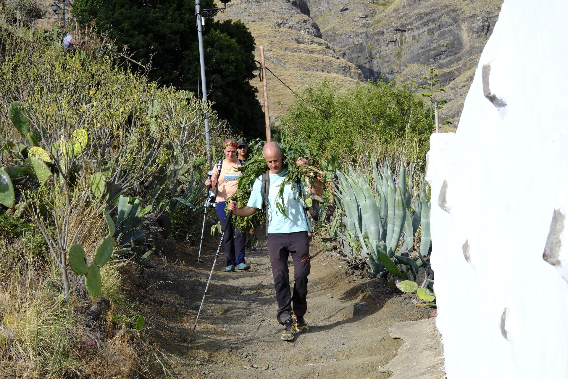 Agaete vibra con la Rama de San Pedro