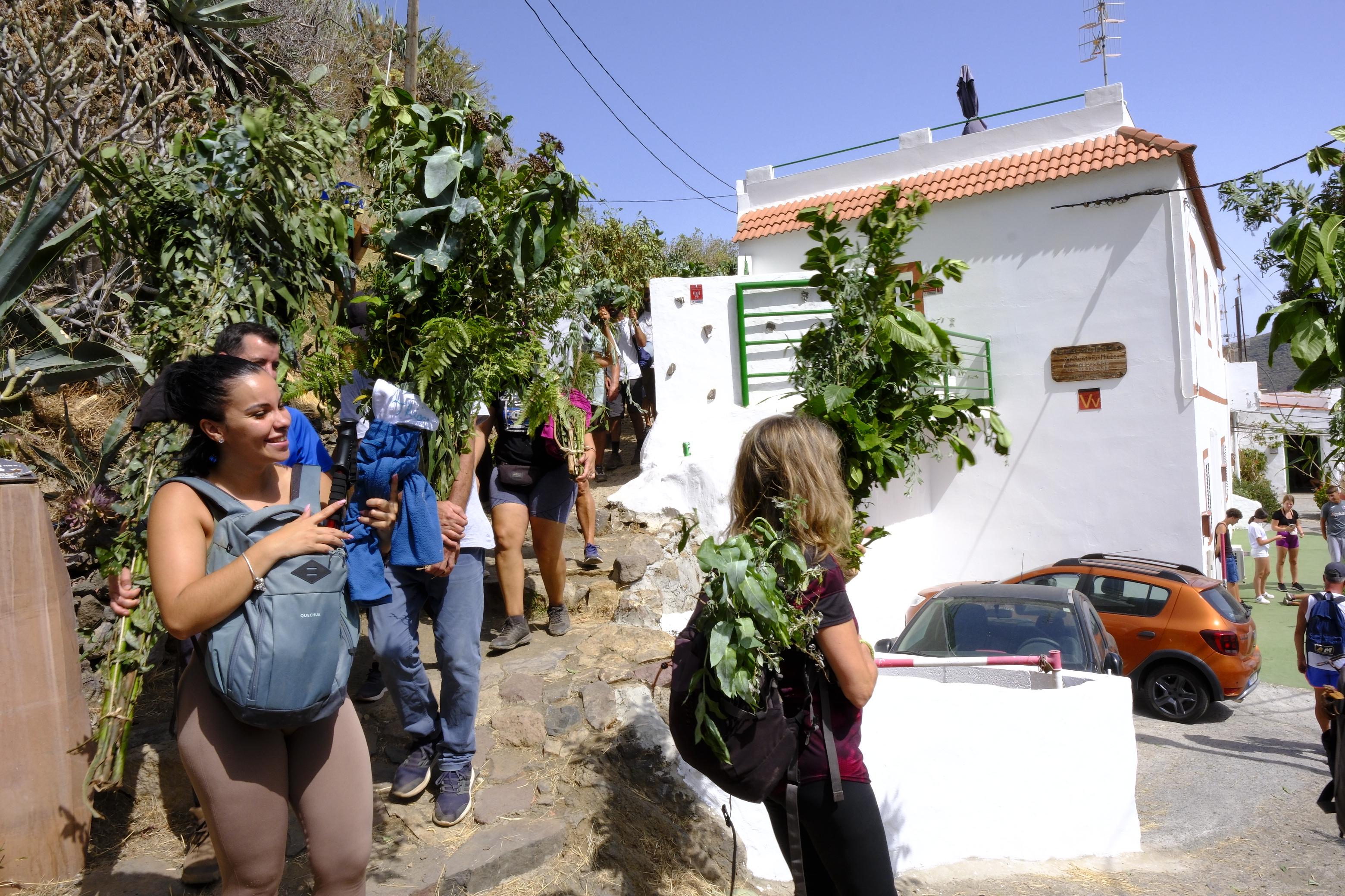 Agaete vibra con la Rama de San Pedro