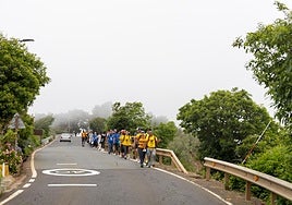 Imagen de los participantes durante el camino.