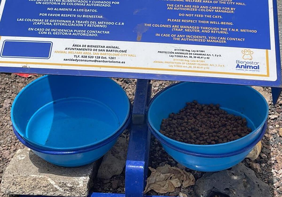 Comedero para gatos.