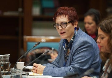 Una nueva sectorial para la financiación del traslado de menores