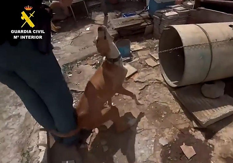 Foto archivo de un agente de la Guardia Civil.