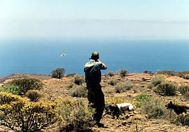 La caza arranca en Gran Canaria el 17 de agosto para conejo con perro y hurón